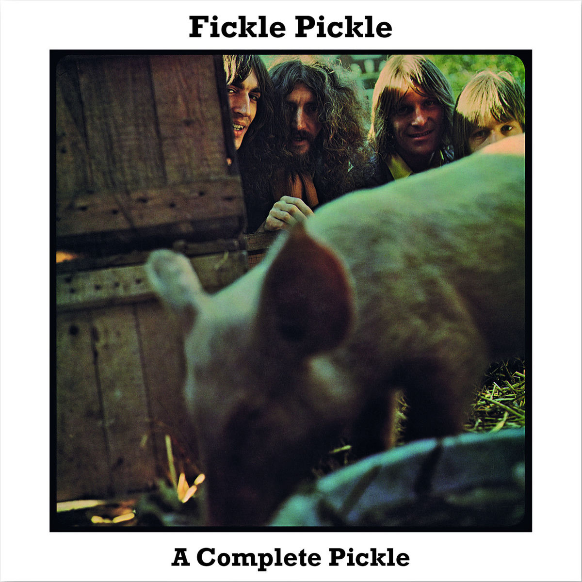 Fickle Pickle